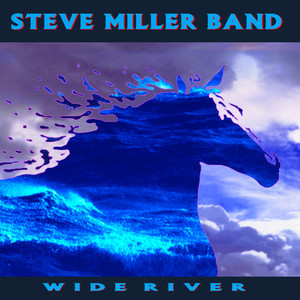 Wide River album