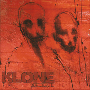Duplicate album