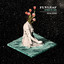 Between The Stars (Special Edition) cover