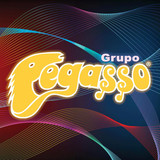 Grupo Pegasso profile