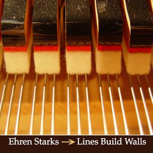 Lines Build Walls cover
