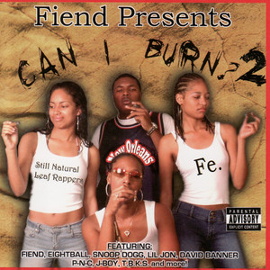 Can I Burn? 2 album