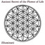 Ancient Secret of the Flower of Life Albumcover