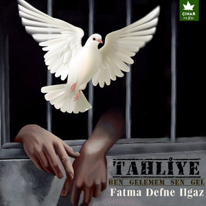 Fatma Defne Ilgaz