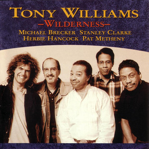 Wilderness album