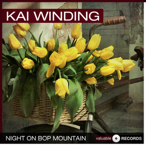 Night On Bop Mountain album