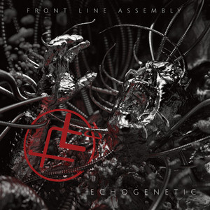 Echogenetic cover