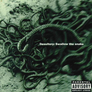 Swallow the Snake album