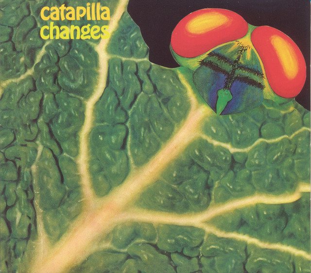 Catapilla Photo