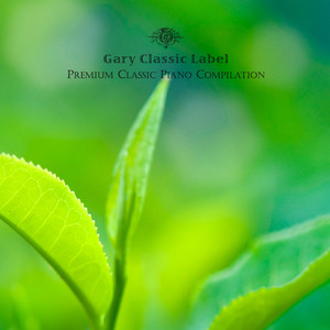 Shiny Morning in Classic Albumcover