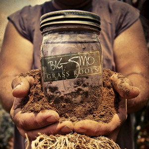 Grass Roots cover