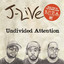 Undivided Attention cover