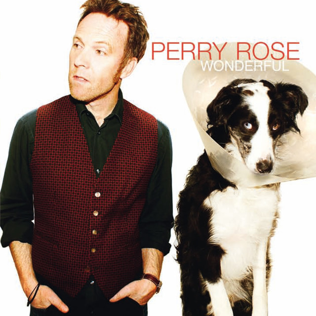 Wonderful cover