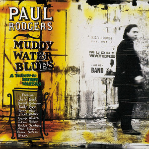 Muddy Waters Blues album