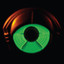 Circuital cover