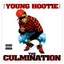 The Culmination Albumcover