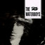 The Waterboys cover