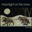 Moonlight on the Snow Albumcover