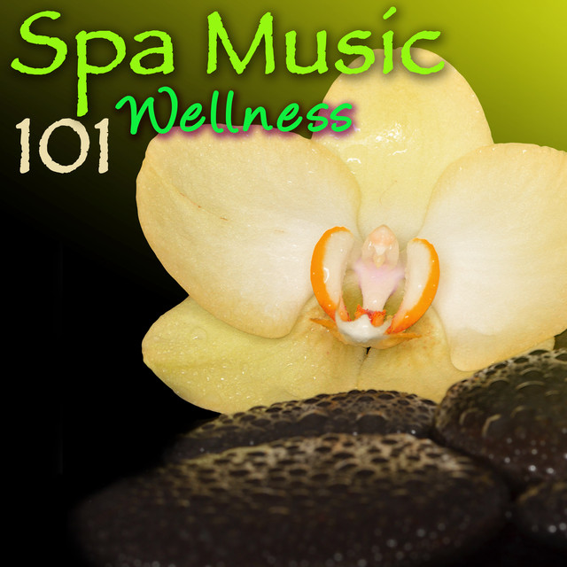 Spa Music 101 Wellness – Ultimate Soothing Relaxing Sounds for Spas, Hammam, Sauna & Wellness Center Massage Albumcover