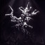 The Silver Tree cover