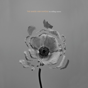 In Rolling Waves (Deluxe) album