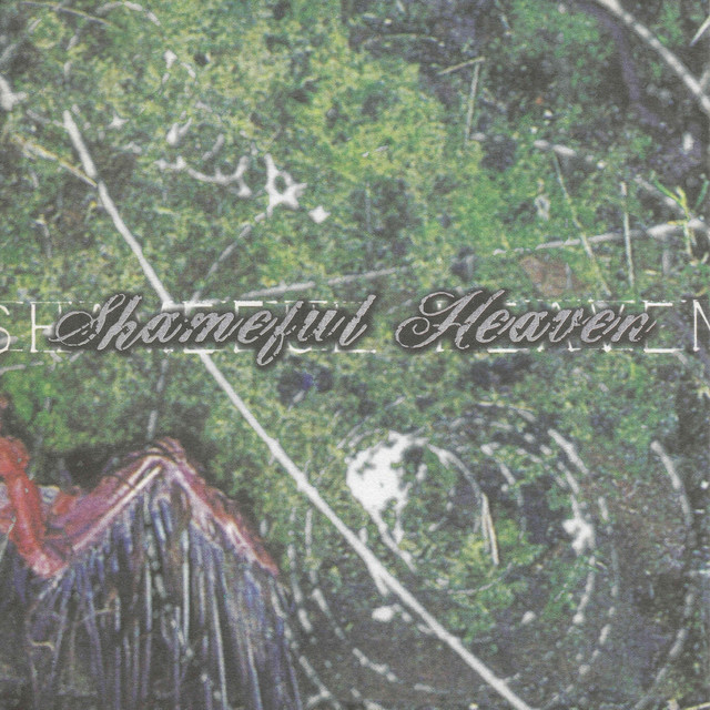 Shameful Heaven Photo