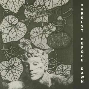 Darkest Before Dawn cover