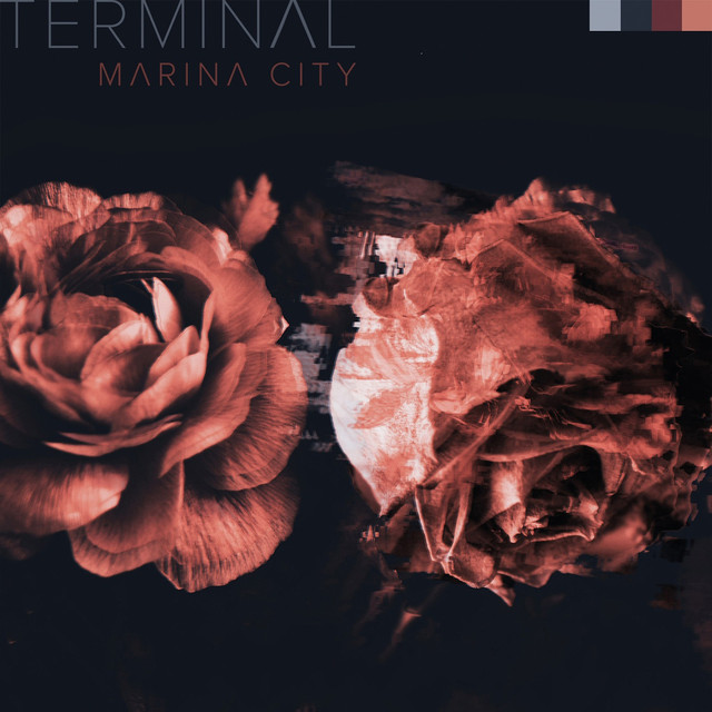 Terminal cover