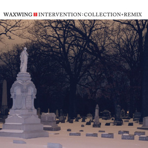 Intervention: Collection + Remix cover