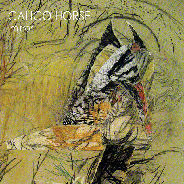 Calico Horse Photo