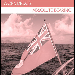 Absolute Bearing cover
