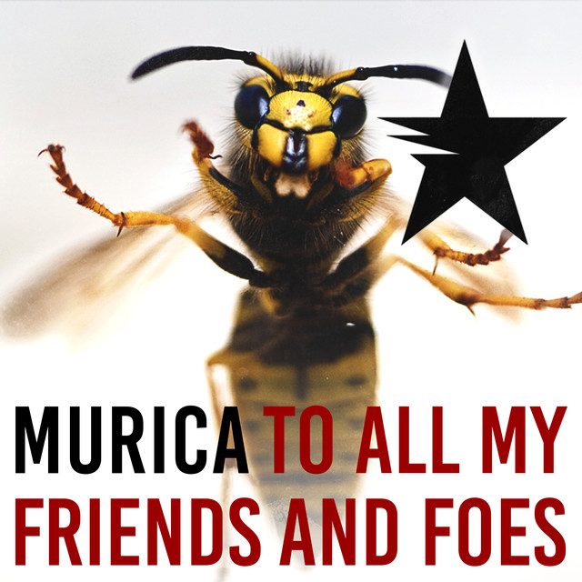 To All My Friends And Foes