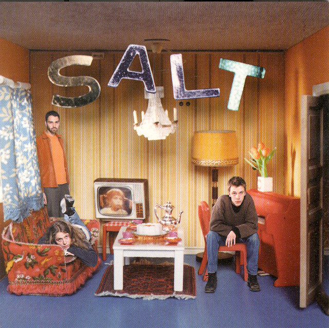 Auscultate cover