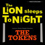 The Lion Sleeps Tonight (Wimoweh) cover