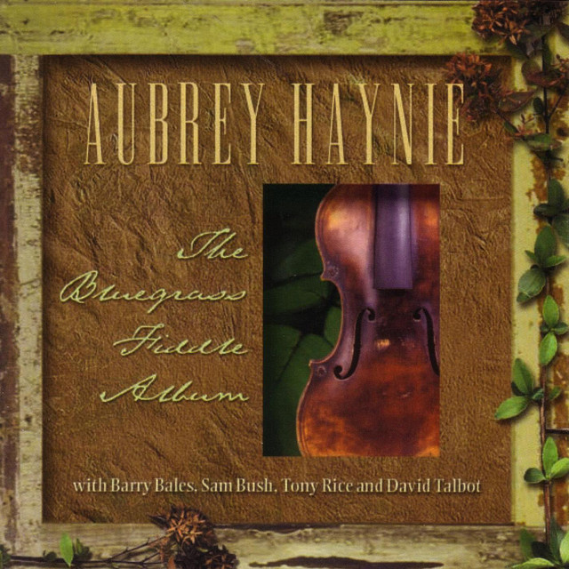 Aubrey Haynie Photo