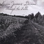Through the Fields Albumcover