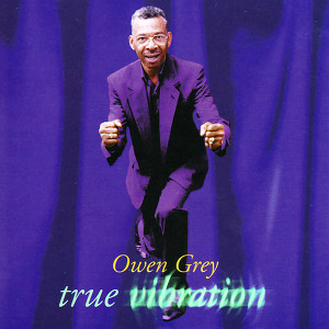 True Vibration Albumcover