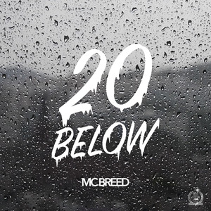 20 Below cover
