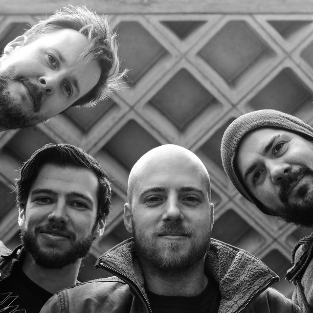 Elephant Tree photo