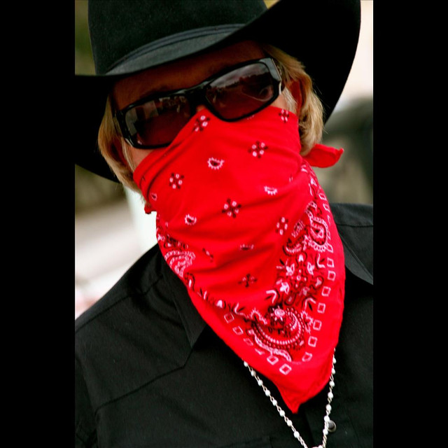 Lil Red Rooster cover