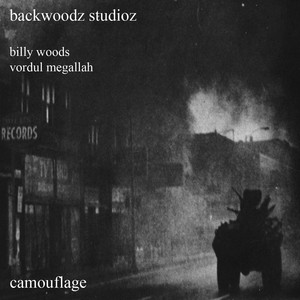 Camouflage cover