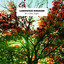 Einaudi: In a time lapse cover