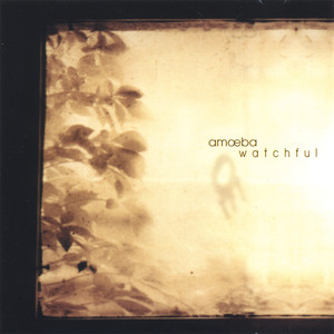 Watchful cover