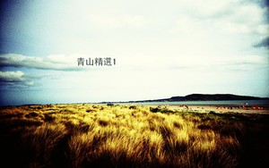 青山 (Qing Shan)