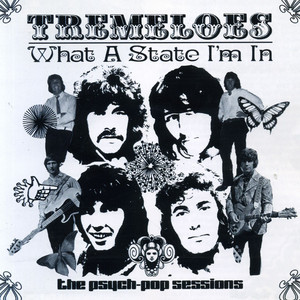 What a State I'm In: The Psych-Pop Sessions album