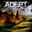 Another Year of Disaster cover