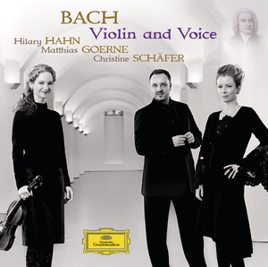 Violin and Voice cover