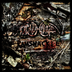 Beneath the Festering Marsh cover