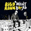 Nightbird cover