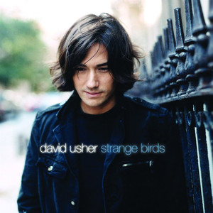 Strange Birds album